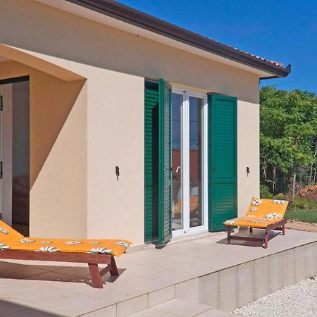 Kastel Pineta In Sveti Martin * Istrien Hotel Nedescina ภายนอก รูปภาพ